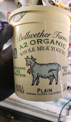 Whole Milk Yogurt