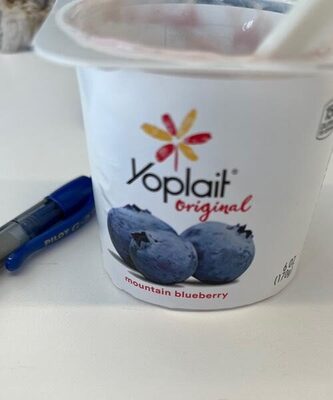 Blueberry yogurt